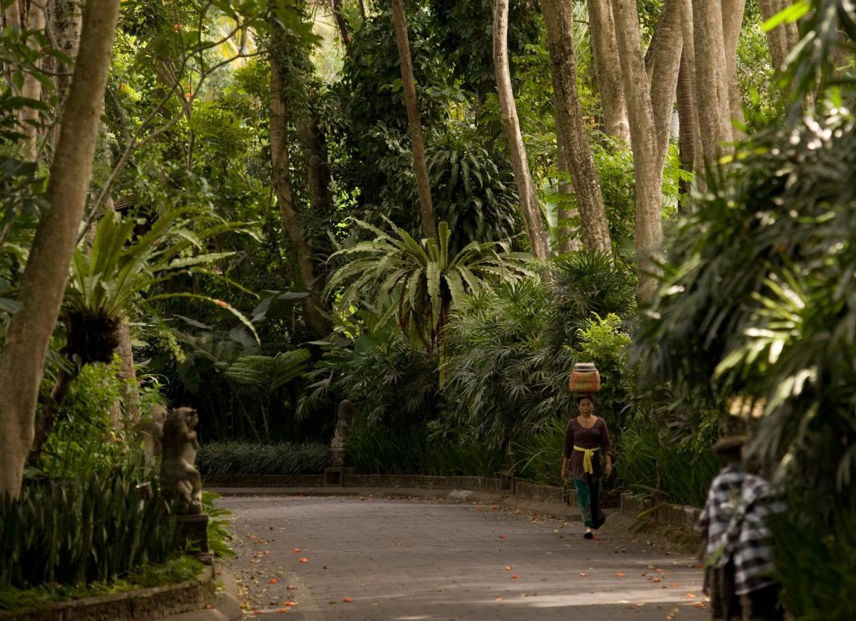 Pita Maha & Ubud